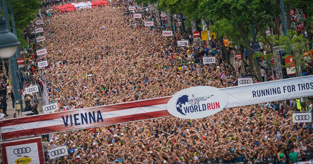 Strecke des Wings for Life World Run Wien Wiener Sport